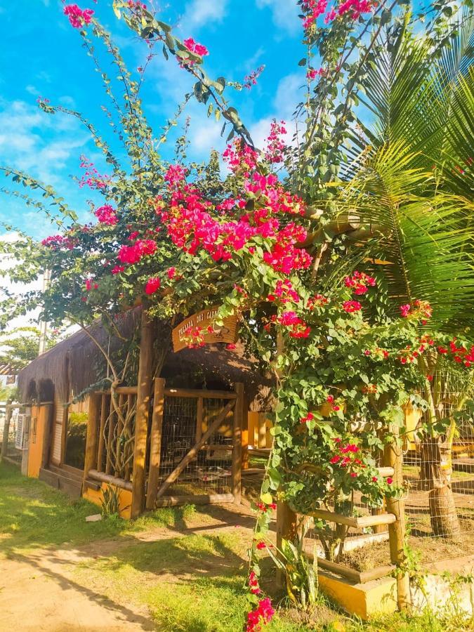 Pousada Dos Cardeais Barra Grande  Eksteriør billede